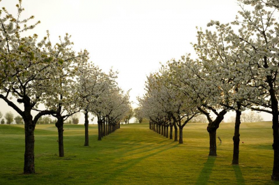 Book a tee time at 
