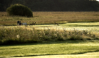 Book a tee time at 